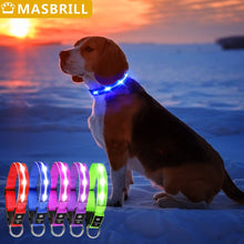 Load image into Gallery viewer, MASBRILL USB Rechargeable Adjustable Waterproof LED Luminous Nylon Night Safety Dog Collar in 7 Colors