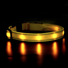Load image into Gallery viewer, MASBRILL USB Rechargeable Adjustable Waterproof LED Luminous Nylon Night Safety Dog Collar in 7 Colors