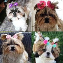 Load image into Gallery viewer, 20PCS (except plain rubber bands at 200pcs) Small Dog/Puppy Hair Bows With Rubber Bands for Grooming