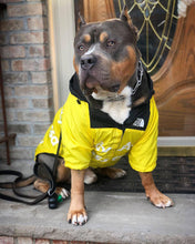 Load image into Gallery viewer, Raincoat/Windbreaker With Hoodie For Small and Big Dogs Sizes SM Thru 5X