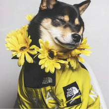 Load image into Gallery viewer, Raincoat/Windbreaker With Hoodie For Small and Big Dogs Sizes SM Thru 5X