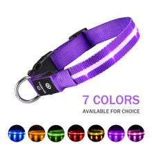 Load image into Gallery viewer, LED Luminous Safety Glow Flashing Lighting Up Dog Collar for Puppy Small Medium Large Dogs