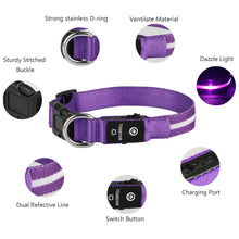 Load image into Gallery viewer, LED Luminous Safety Glow Flashing Lighting Up Dog Collar for Puppy Small Medium Large Dogs