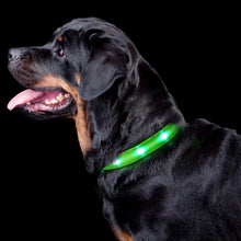 Load image into Gallery viewer, LED Luminous Safety Glow Flashing Lighting Up Dog Collar for Puppy Small Medium Large Dogs