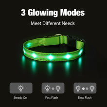 Load image into Gallery viewer, LED Luminous Safety Glow Flashing Lighting Up Dog Collar for Puppy Small Medium Large Dogs