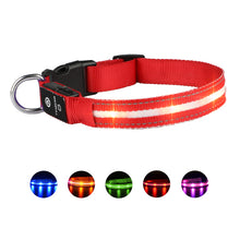 Load image into Gallery viewer, LED Luminous Safety Glow Flashing Lighting Up Dog Collar for Puppy Small Medium Large Dogs