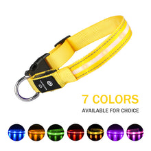 Load image into Gallery viewer, LED Luminous Safety Glow Flashing Lighting Up Dog Collar for Puppy Small Medium Large Dogs