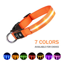 Load image into Gallery viewer, LED Luminous Safety Glow Flashing Lighting Up Dog Collar for Puppy Small Medium Large Dogs