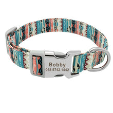 Load image into Gallery viewer, Customized Printed Nylon Dog Collar With Free Personalized Engraved ID for Sm/Med/Lg Dogs in 7 Styles - godoggago