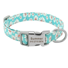 Load image into Gallery viewer, Customized Printed Nylon Dog Collar With Free Personalized Engraved ID for Sm/Med/Lg Dogs in 7 Styles - godoggago