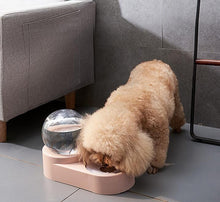 Load image into Gallery viewer, Double Bowl Automatic Feeder/Refill Water Drinking Dispenser For Dogs/Puppies - godoggago
