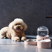 Load image into Gallery viewer, Double Bowl Automatic Feeder/Refill Water Drinking Dispenser For Dogs/Puppies - godoggago