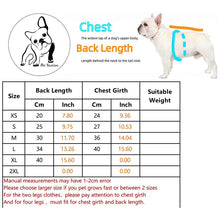 Load image into Gallery viewer, Warm Winter Striped Lattice Dog Sweater For Puppy/Dog in Sizes XS Thru XL