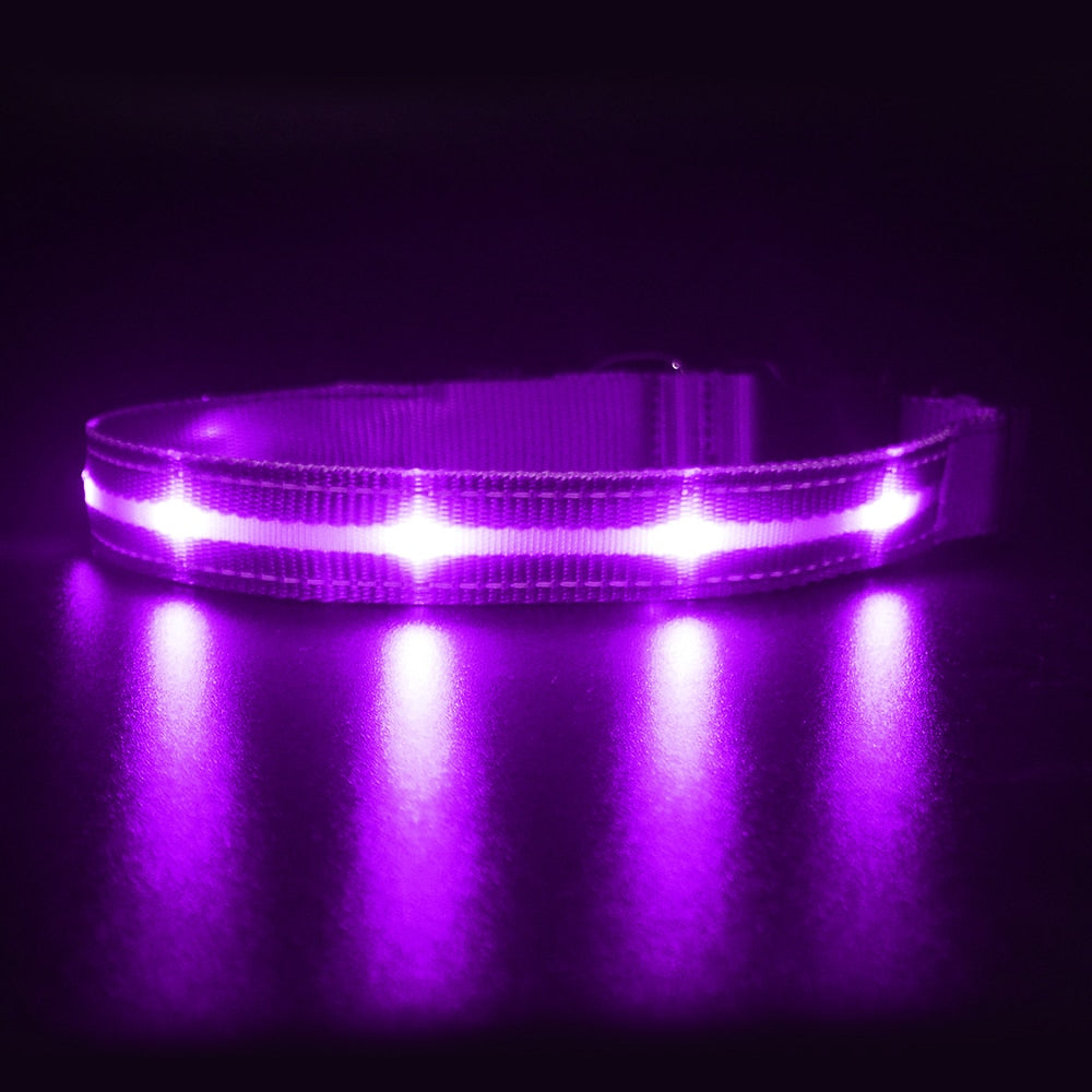 MASBRILL USB Rechargeable Adjustable Waterproof LED Luminous Nylon Night Safety Dog Collar in 7 Colors