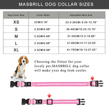 Load image into Gallery viewer, MASBRILL USB Rechargeable Adjustable Waterproof LED Luminous Nylon Night Safety Dog Collar in 7 Colors
