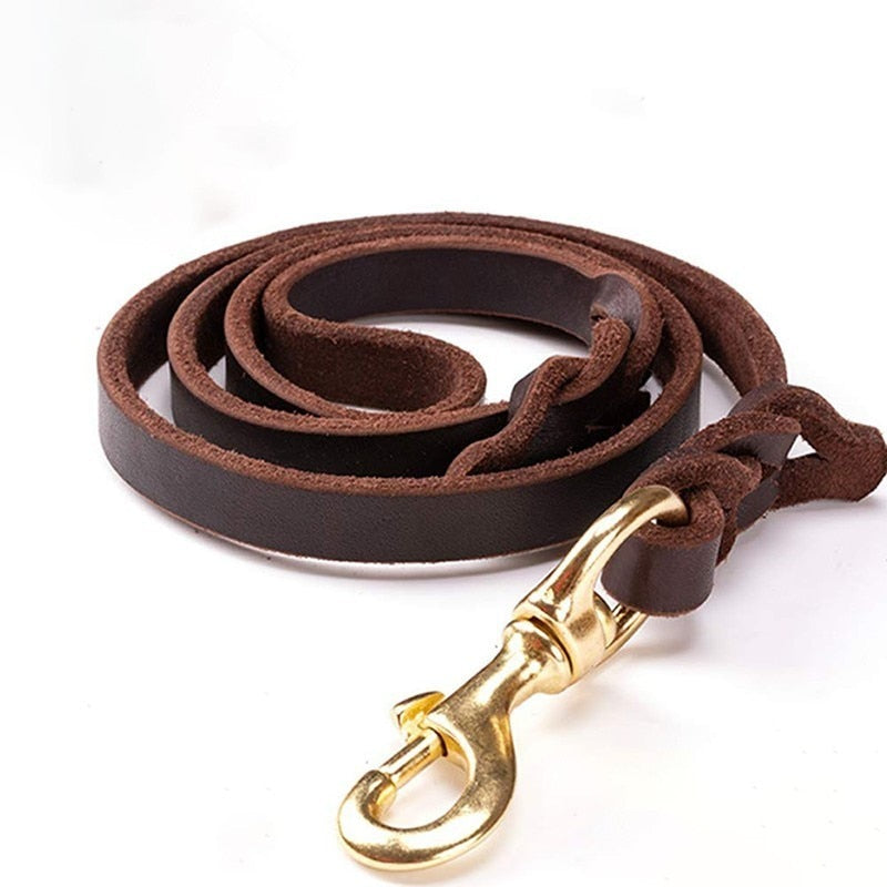 Handmade Durable Leather Dog Leash With Brass-plated Clasp in 5 Lengths