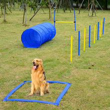 Load image into Gallery viewer, Dog Agility Starter Kit Includes Tunnel, Weave Poles, High Jump, &amp; Sqauare Pause Box With Carrying Case
