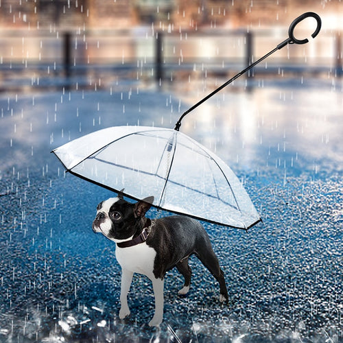 Telescopic Handled Transparent Dog Umbrella With Leash for Rain Walking - godoggago