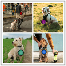 Load image into Gallery viewer, 2 in 1 Collapsible Silicone Bowl Dogs With Water and Feeder Bottle For Outdoor Travel
