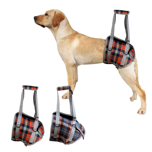 Adjustable Rehabilitation Dog Support Harness for Front and Rear Legs Lifting for Dogs with Disabilities/Injuries - godoggago