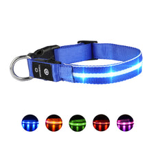 Load image into Gallery viewer, LED Luminous Safety Glow Flashing Lighting Up Dog Collar for Puppy Small Medium Large Dogs
