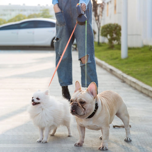 Double Head Retractable Nylon Leash For 2 Dogs 360 Degree Rotating With Flashlight - godoggago