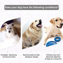 Load image into Gallery viewer, Dog Washable Round Sniffing/Training Mat To Relieve Stress Or Training Nosework - godoggago
