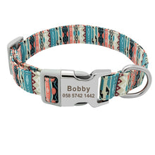 Load image into Gallery viewer, Customized Printed Nylon Dog Collar With Free Personalized Engraved ID for Sm/Med/Lg Dogs in 7 Styles - godoggago
