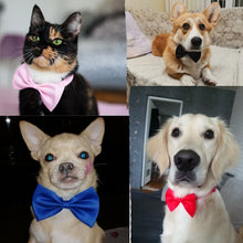 Load image into Gallery viewer, 10pc Adjustable Strap Bow Tie/Necklace Dog Collar 16 Colors
