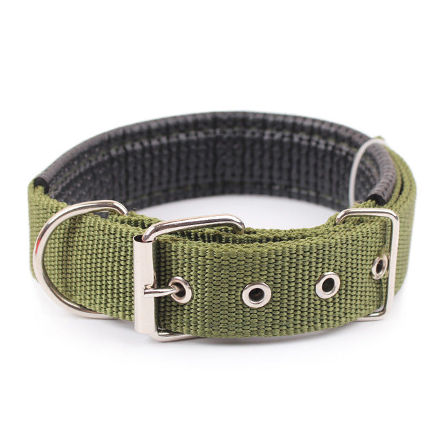 Solid Nylon Dog Collars For Small Medium Large Dogs In 10 Colors in Sizes XS Thru LG