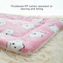 Load image into Gallery viewer, Soft Coral Fleece Thickened Blanket Puppy/Dog Mat For Warm Sleeping in 6 Colors &amp; 4 Sizes
